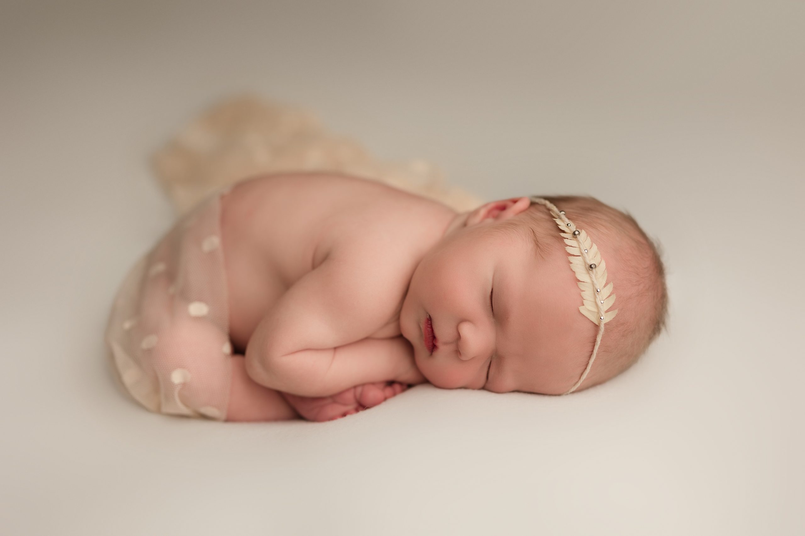 newborn baby girl curled up with toes peeking out and a dotted wrap covering her